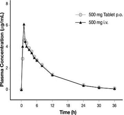 Figure-3 (3.untitled.jpg)