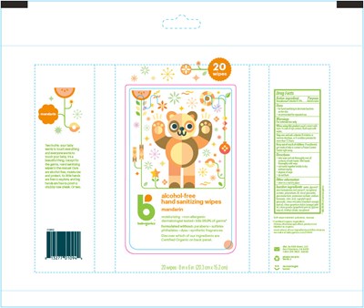 Principal Display Panel (20 Wipe Bag)