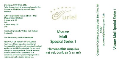 ViscumMaliHelixorSpecialSeries1Ampules.jpg ViscumMaliHelixorSpecialSeries1Ampules - ViscumMaliHelixorSpecialSeries1Ampules
