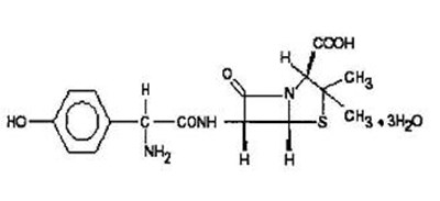 Structural formula for amoxicillin - image 01