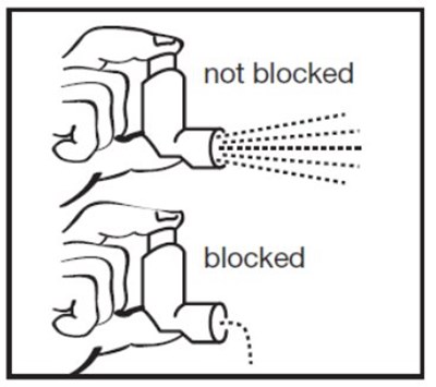 Fig-F - AlbuterolFigF