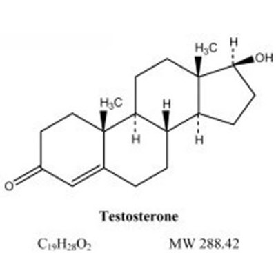 Testosterone-structural-formula (Testosterone Structural Formula)