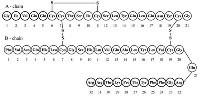 Chemical Structure - lantus 01