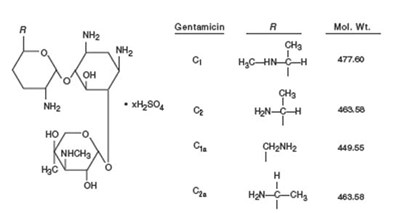 image-01.jpg Gentamicin Sulfate (structural formula) - image 01