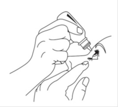 Timololmaleate-d.jpg (Timololmaleate D)