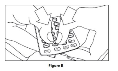 Figure B (Image 06)