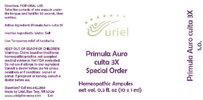 Primulaauroculta3soampules (Primulaauroculta3soampules)