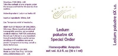 Ledumpalustre6soampules (Ledumpalustre6soampules)