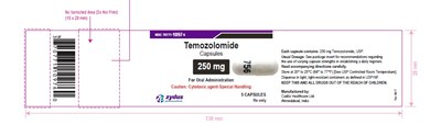 Temozolomide capsules, 250 mg - f2ab10a0 5cf1 4073 9512 d6341bb3d40e 10
