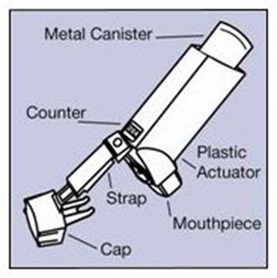 Figure A (Image 02)