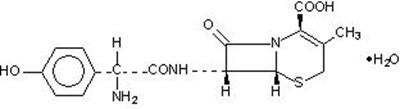 Chemical Structure - cefadroxil structure
