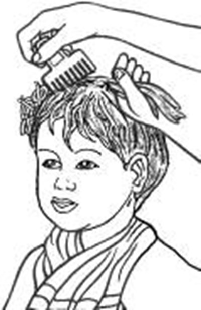 T:\maryland\nj\juan\anda 075014\child-comb.jpg (6efbbff4 Db09 4d9d 93dd 6b6ce9271514 04)