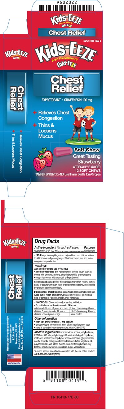 PRINCIPAL DISPLAY PANEL - 100 mg Tablet Carton - kids eeze 01