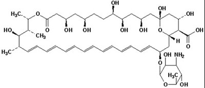 Chemical Strucutre (Amphotericin Str)