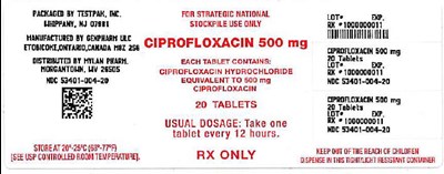 Principal Display Panel (500 mg Label)