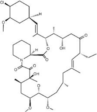 Elidel (pimecrolimus)  Structural Formula (Elidel 02)