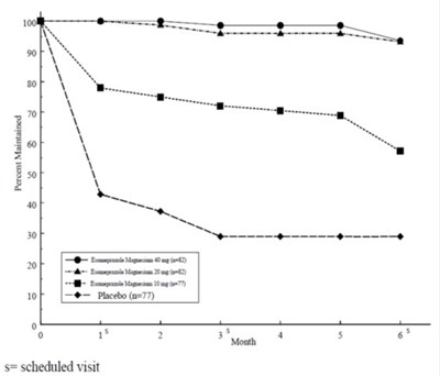Figure3 (Image 05)