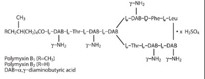 2 (Neomycin And Polymyxin B Sulfates And Hydrocortiso 2)