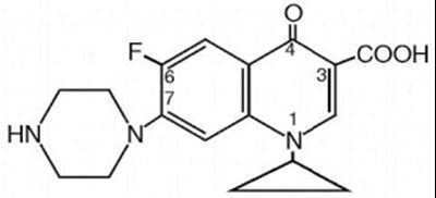 Cip01 0028 01