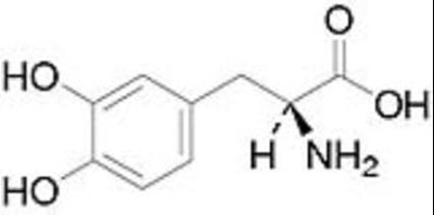 Duopa 02
