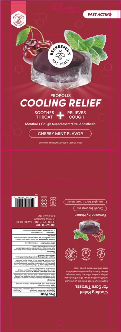 Principal Display Panel (14 Lozenges Pouch)