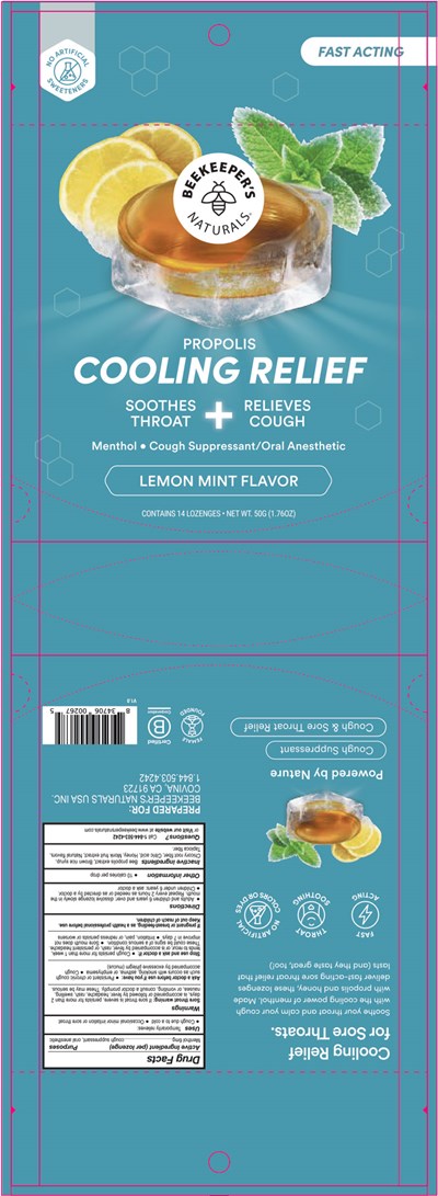 Principal Display Panel (14 Lozenges Pouch)