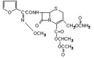 f4bea44f-32ac-431b-8909-e81bb02e65ac-01.jpg structure - f4bea44f 32ac 431b 8909 e81bb02e65ac 01