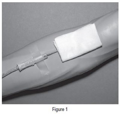 Fig01 (Figure1)
