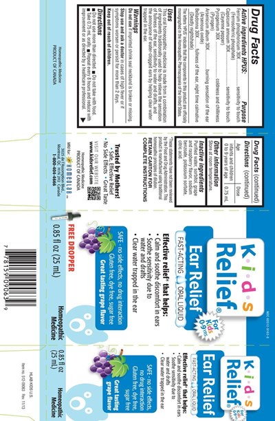 hlb_box_kidsrlf25ml_earrelief.jpg image of carton - hlb box kidsrlf25ml earrelief