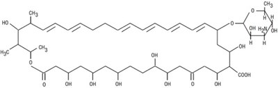 Image Description (Nystat 1)