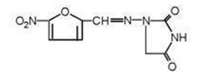 nitrofurantoin-macrocrystals-structure - nitrofurantoin macrocrystals structure
