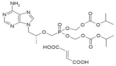 Ertdf-teno-structure.jpg (Ertdf Teno Structure)