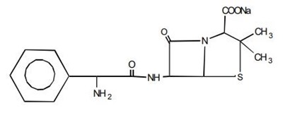 structure-1.jpg structure-1 - structure 1
