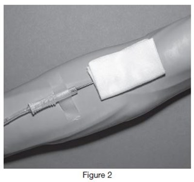 4r1783fig2 (Figure2)