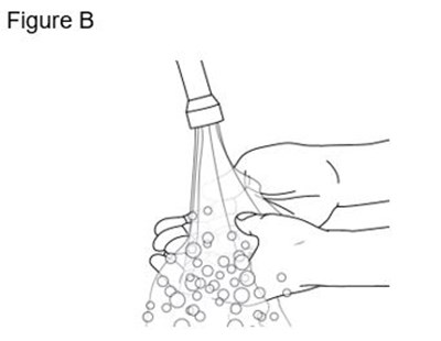 Ifu Figure-b (Ifu Figure B)