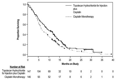 topotecan-image2.jpg Figure 1. Kaplan-Meier Curves for Overall Survival in Cervical Cancer in Study GOG 0179 - topotecan image2