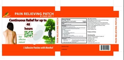Huashenpainrelievingpatch (Painrelievingpatch)