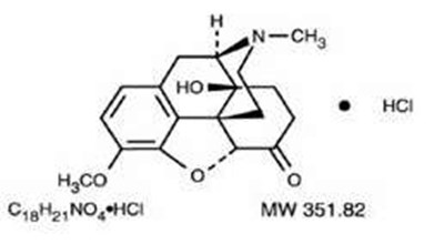 Figure1 (Figure1)
