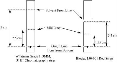 image-01.jpg Figure 1 - image 01