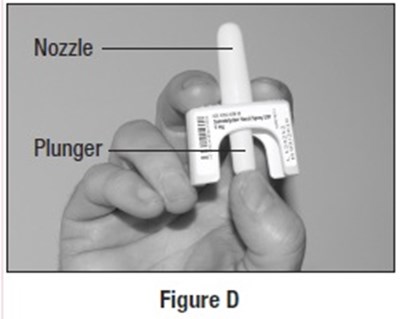 Figure-d.jpg (Figure D)