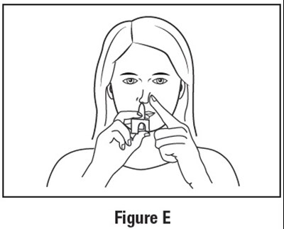 Figure-e.jpg (Figure E)
