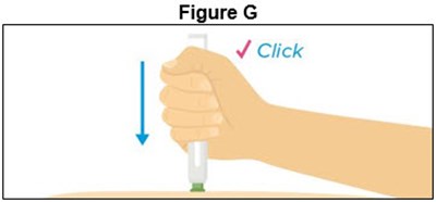 Figure G (Autoinjector)