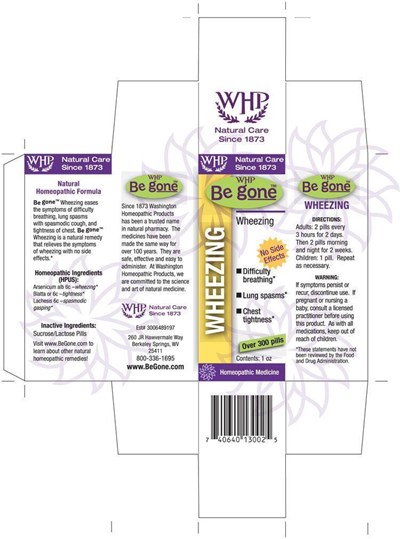 BG_Wheezing_box.jpg image of box - BG Wheezing box