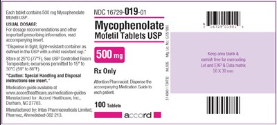 500 mg : 100 tablets - mycophenolate 500mg 100tab