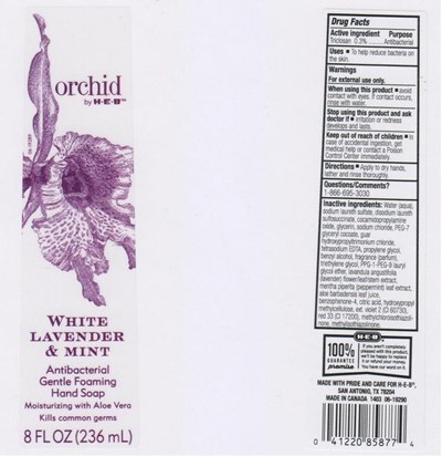 IMAGE OF THE LABEL - 19289L