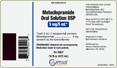 metoclopramide-02.jpg PRINCIPAL DISPLAY PANEL - 473 mL Bottle Label - metoclopramide 02