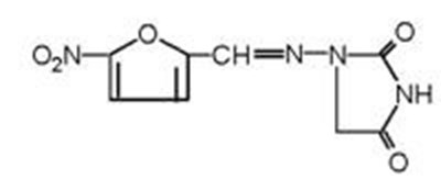 Image (Image)
