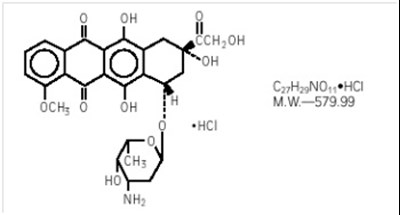 Doxorubicin-SPL-Struc.jpg Doxorubicin-SPL-Struc - Doxorubicin SPL Struc
