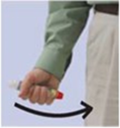 Practice Instructions Figure 2 (Image 13)