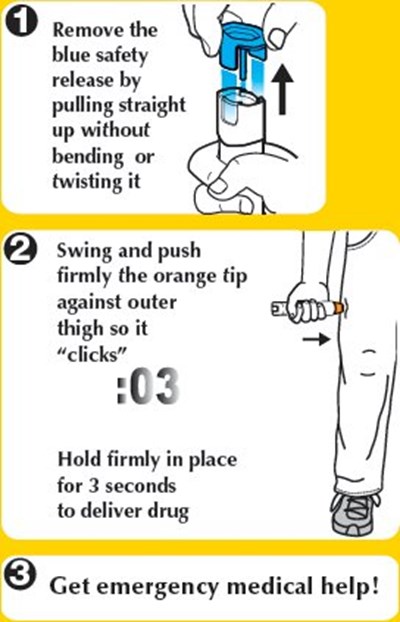 Epipen 0.3 mg Principal Display Panel Figure 2 (Image 20)